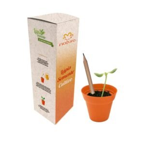 Seed pencil ECO RBSP721