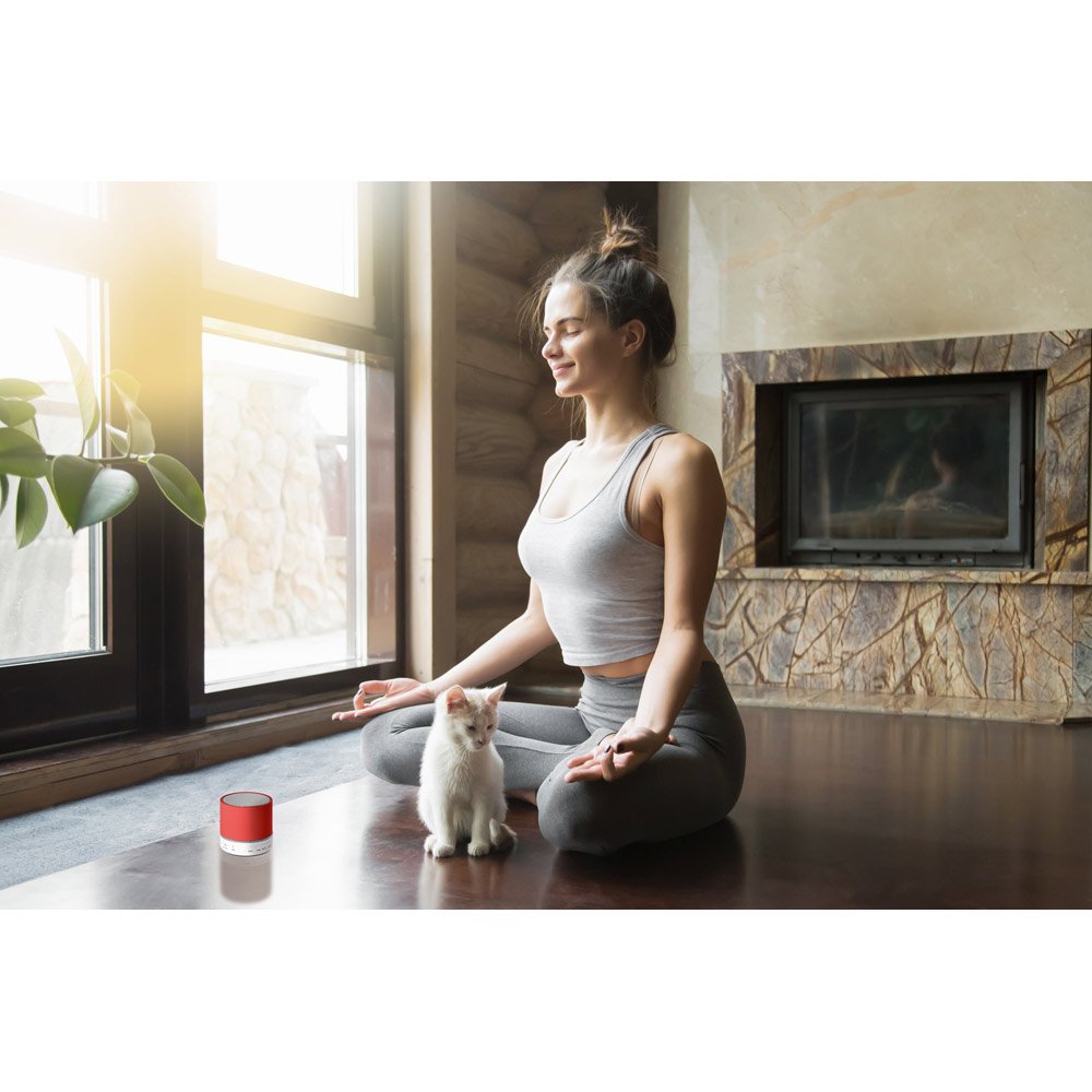 Caixa de som com microfone RBS 57253 - Image 19